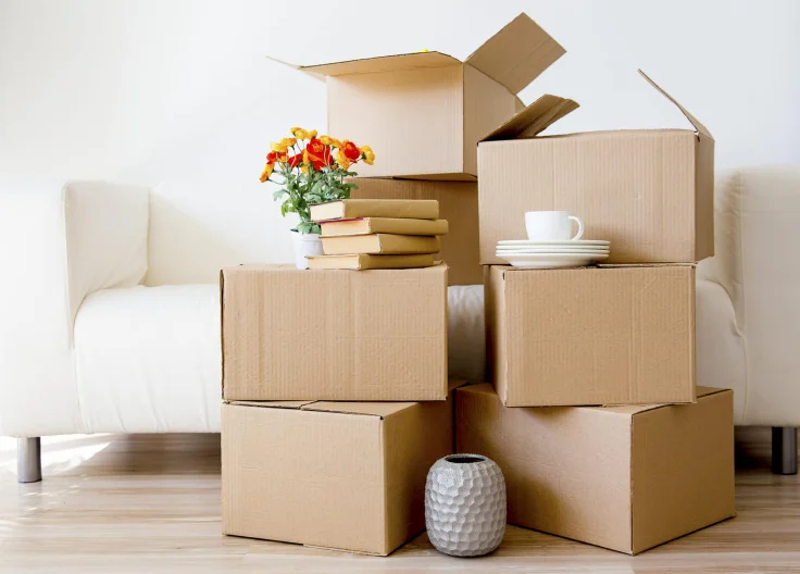 Move In/Out Cleaning